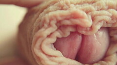 4K Macro Close Up - Foreskin Play Thumb