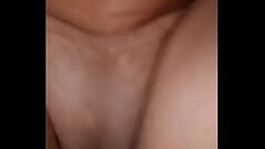 Pau na &Iacute_ndia Thumb