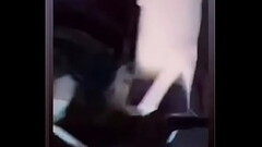 Mad Mach1ne Thumb