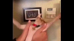 Cat whip Thumb