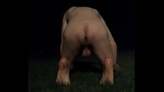 Things that go slap in the night Thumb