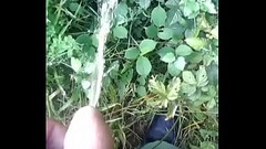Men can piss in the woods pt.2 (12 hours without a pee!) Thumb