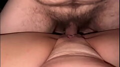 passerotto Thumb