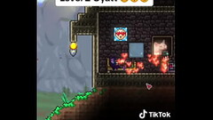 Terrarias Level 1 Gyat chat Thumb