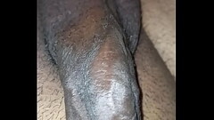 Cock show Thumb