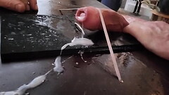 Cock v Boxer 2 Thumb