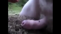 Ants by Bylting 2 Thumb