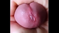 HD Intimate View of Franz Edging as His Humungous Cock Tip is Dripping Precum (Dreamnude / Franz Sch Thumb