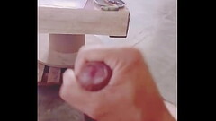 Dracko Rex Thumb