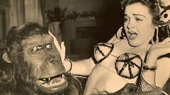 Dark Lantern Entertainment Presents '_Vintage Petmania'_ Thumb