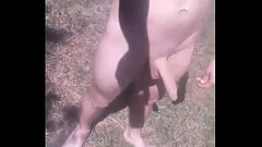 Showing dick on the lake Thumb